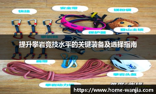 玩加电竞官网